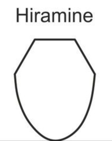 Japanisches Bokken Shira Kashi Kenmine